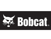 Bobcat